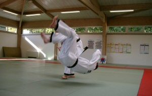 Stage Hapkido