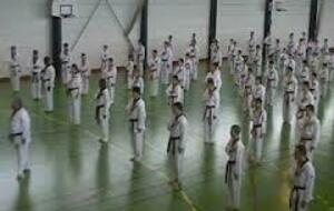 Stage Prépa PG (à partir de 7° keup) TKD-HKD